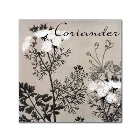 Trademark Fine Art Color Bakery 'Flowering Herbs IV' Canvas Art, 35x35 ALI4179-C3535GG